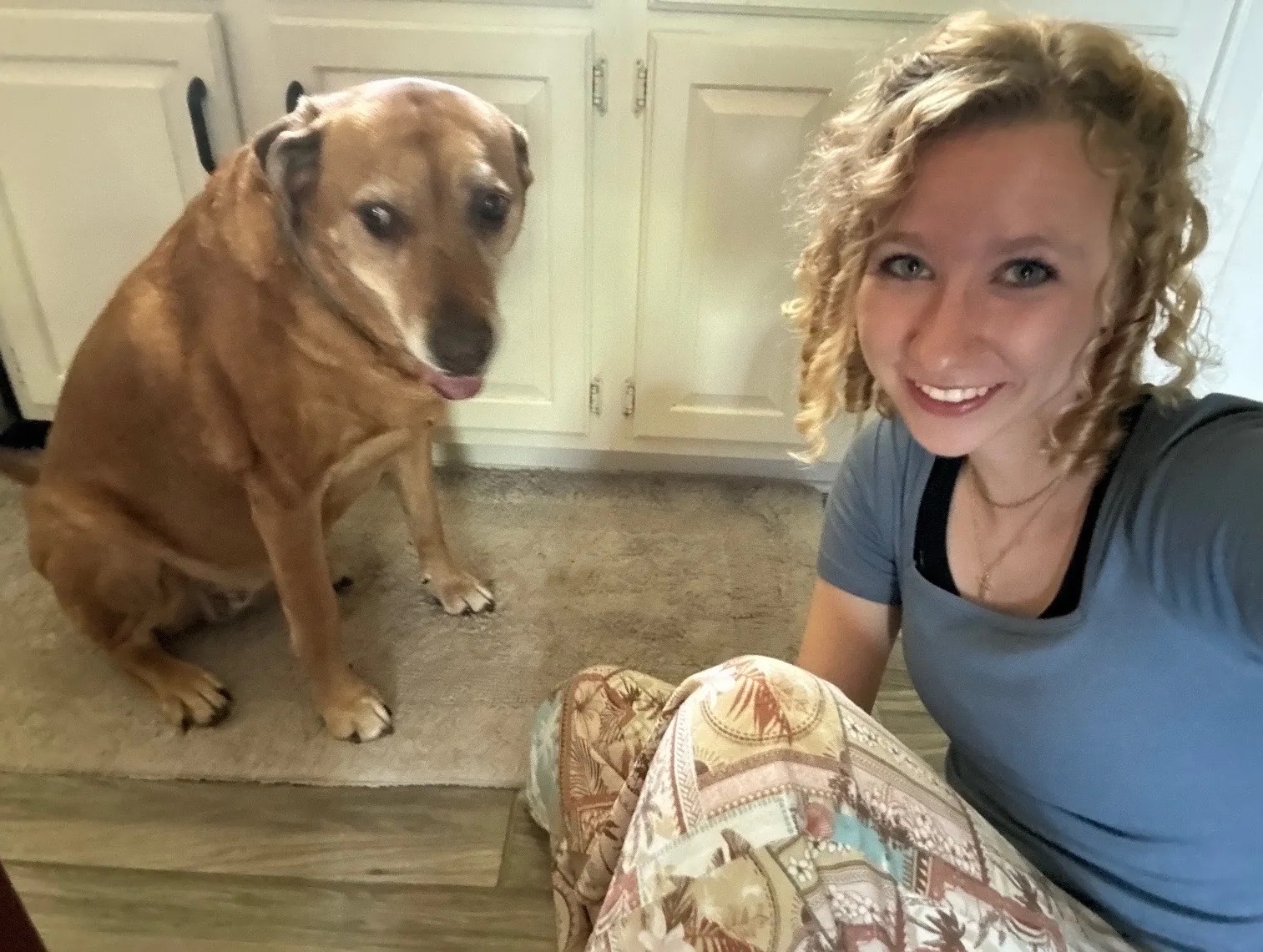 The walker sitting on the kitchen floor next to a senior yellow lab