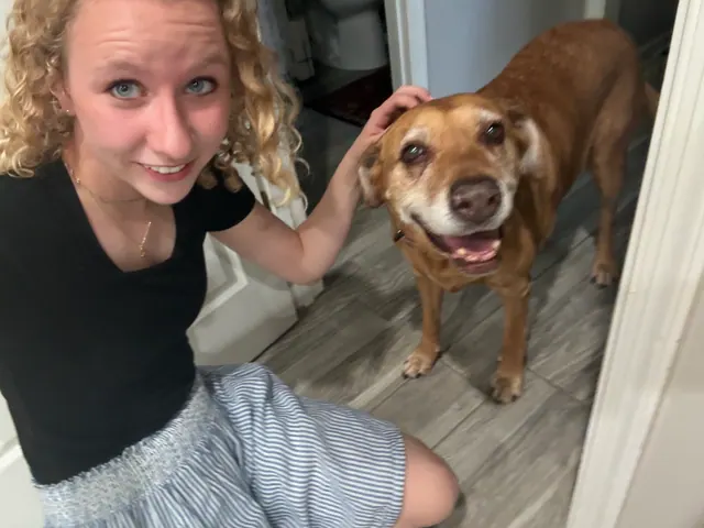 The walker crouched next to a smiling senior brown lab in a doorway