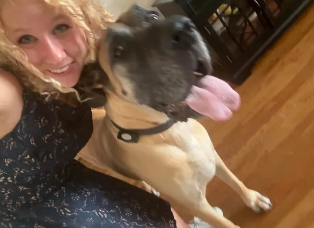The walker with a mastiff, tongue out